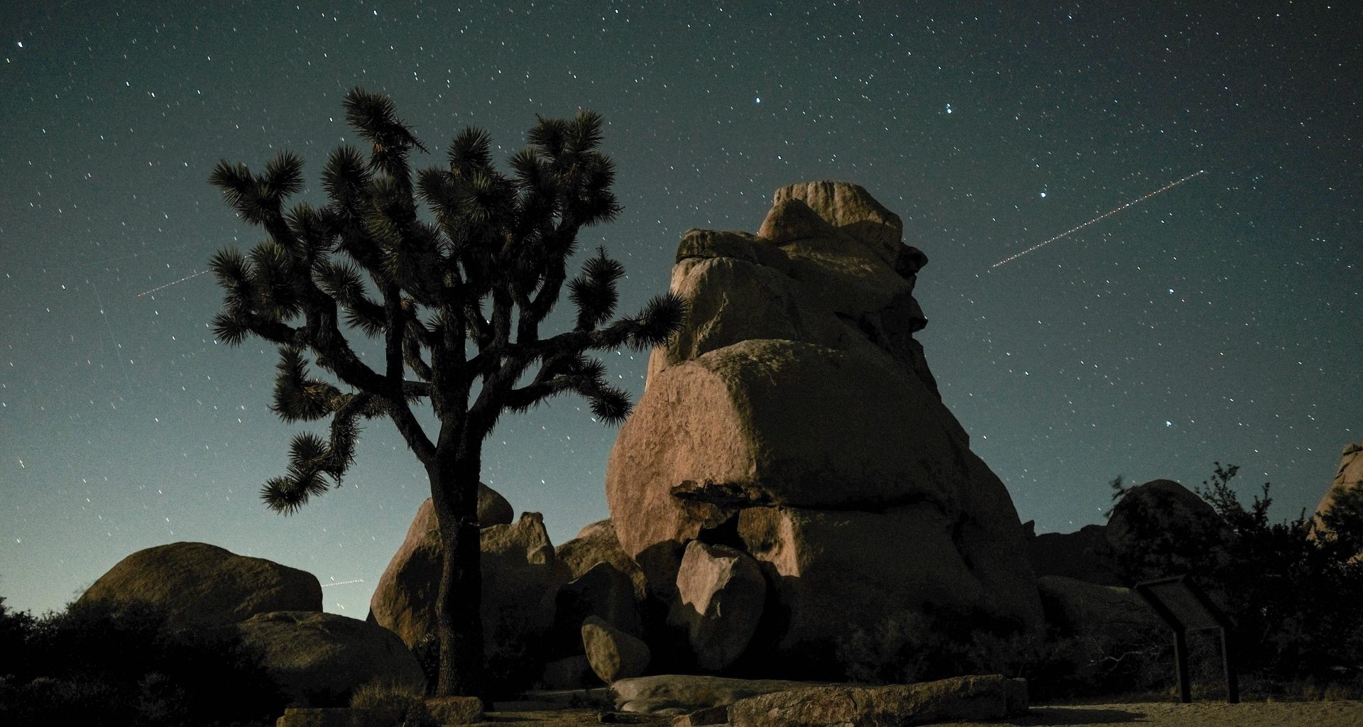 Stargazing in SoCal - Joshua Tree