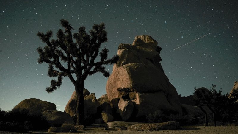 Stargazing in SoCal - Joshua Tree